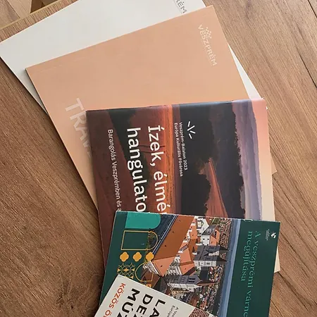 Kata Belvarosi Daire *